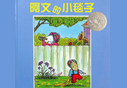 阿文的小毯子