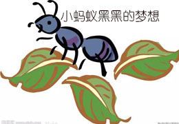小蚂蚁黑黑的梦想