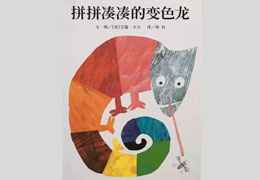 拼拼凑凑的变色龙