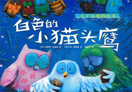 白色的小猫头鹰