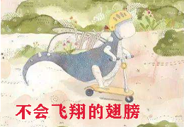 不会飞翔的翅膀