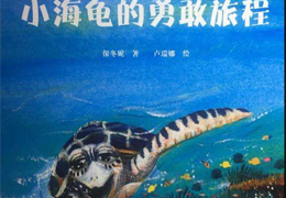 小海龟的勇敢旅程