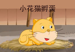 小花猫生蛋