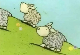 笨笨羊的奇迹
