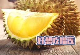 好想吃榴莲