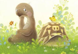 把壳丢掉的乌龟