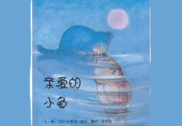 亲爱的小鱼