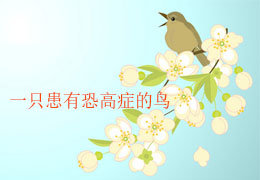 一只患有恐高症的鸟